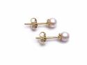 9ct Freshwater Cultured Pearl Studs 4mm