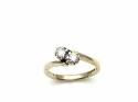 9ct Yellow Gold Diamond 2 Stone Ring