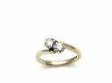 9ct Yellow Gold Diamond 2 Stone Ring