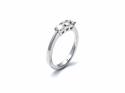 Platinum Diamond 3 Stone Ring