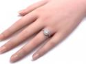 Platinum Diamond Oval Double Halo Ring 1.01ct