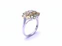 9ct White Gold Peridot & Citrine Ring