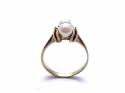 9ct Yellow Gold Double Pearl Ring