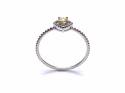 Silver Yellow CZ Solitaire Rope Effect Ring I