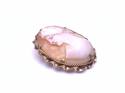 9ct Cameo Brooch with Steel Pin