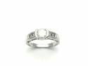 9ct White Gold Diamond Ring