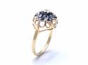 9ct Sapphire & Diamond Cluster Ring