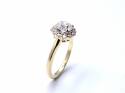 18ct Yellow Gold Diamond Halo Ring