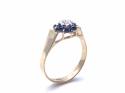 9ct Sapphire & Diamond Cluster Ring