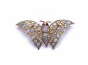 9ct Opal & Ruby Butterfly Brooch