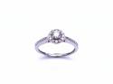 9ct Diamond Solitaire Halo Ring