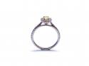 Platinum Fancy Yellow Diamond Halo Ring