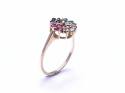 9ct Precious Stone Cluster Ring