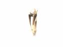 9ct Yellow Gold 2 Pearl Ring