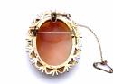 9ct Yellow Gold Cameo Brooch