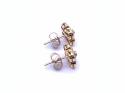 9ct Yellow Gold Ruby & Diamond Cluster Earrings