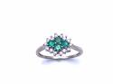 9ct Emerald & Diamond Cluster Ring