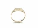 9ct Yellow Gold Plain Signet Ring