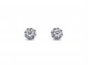 18ct White Gold Solitaire Diamond Studs