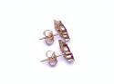 9ct Yellow Gold Ruby & Diamond Stud Earrings