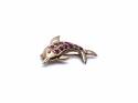 9ct Ruby Dolphin Brooch
