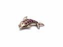 9ct Ruby Dolphin Brooch