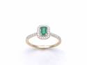 9ct Yellow Gold Emerald & Diamond Halo Ring