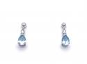 9ct White Gold Aquamarine & Diamond Earrings