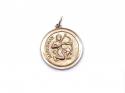 9ct Yellow Gold Sagittarius Pendant