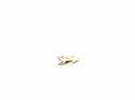 9ct Yellow Gold Arrow Screw Ear Cartilage Stud