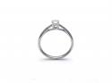 9ct White Gold Diamond Solitaire Ring