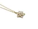 Silver Gold Plated CZ Flower Pendant & Chain