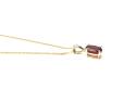 9ct Yellow Gold Garnet Solitaire Pendant & Chain