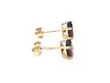 9ct Yellow Gold Garnet Solitaire Stud Earrings