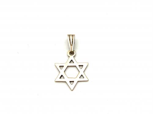 9ct Yellow Gold Star of David Charm