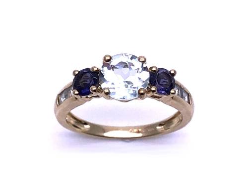 9ct Yellow Gold Multi Stone Ring