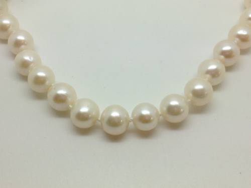 Freshwater Cultured White Pearl Necklet