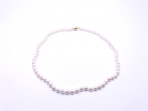 9ct Yellow Gold White Cultured Pearl Necklet 6mm