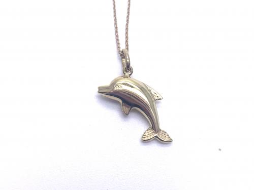 9ct Dolphin Pendant & Chain