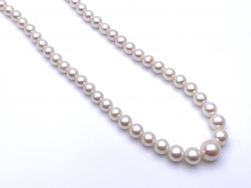 9ct Graduated Pearl Necklet 17 inch