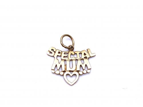 9ct Yellow Gold Special Mum Charm