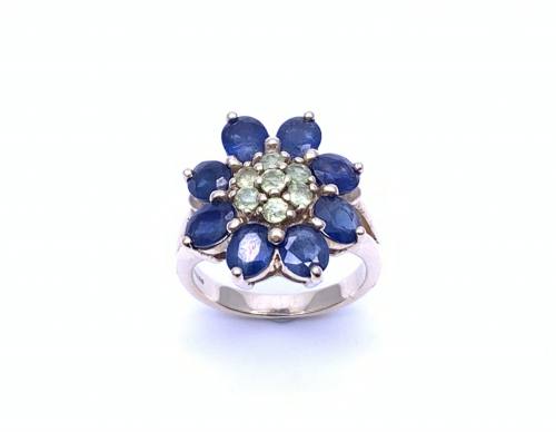 9ct Sapphire Flower Cluster Dress Ring