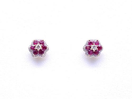 9ct Yellow Gold Ruby & Diamond Stud Earrings