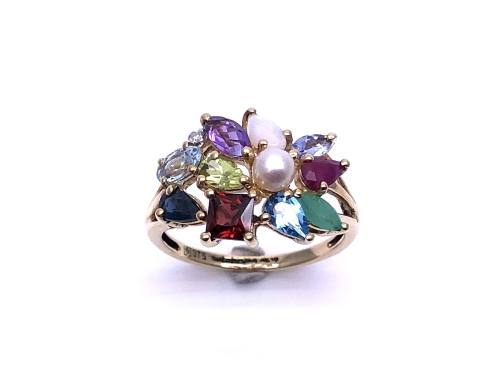 9ct Yellow Gold Multi-Stone Ring