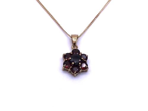 9ct Yellow Gold Garnet Pendant & Chain