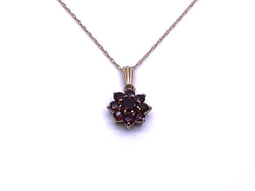 9ct Yellow Gold Garnet Pendant & Chain