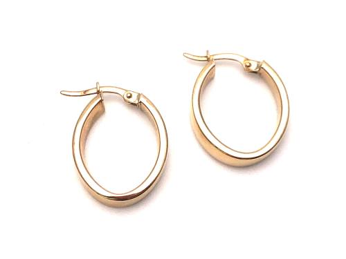 9ct Yellow Gold Hoop Earrings 20x15mm